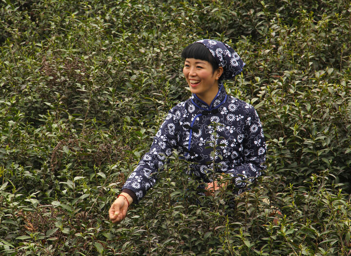 永久免费直播